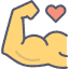 muscle